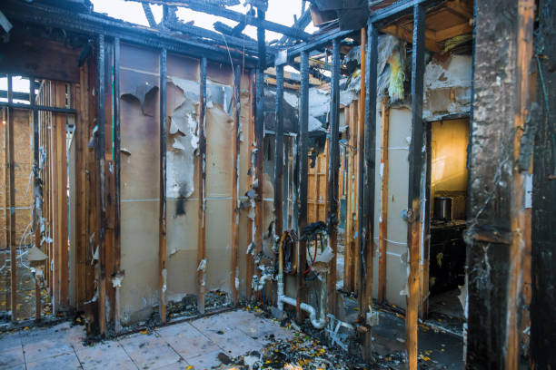 Professional Fire Damage Removal technician working in South Greensburg, PA